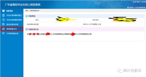 广东省高校毕业生网上报到系统 查询档案去向